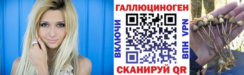 Псилоцибиновые грибы MAGIC MUSHROOMS  Липецк 