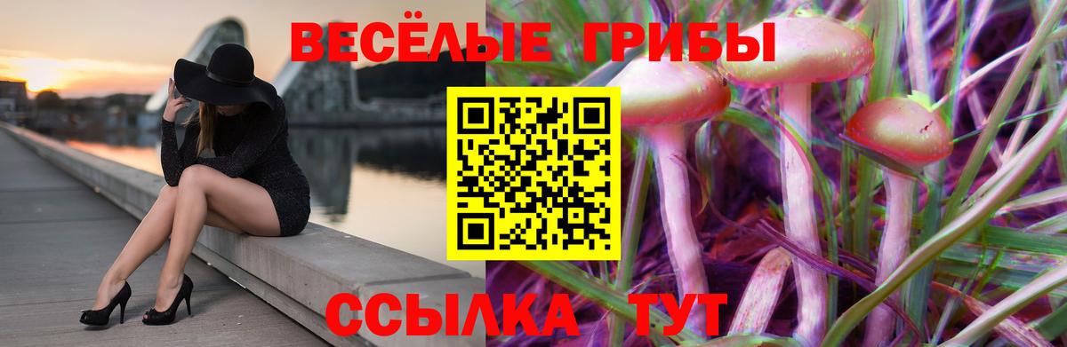 Псилоцибиновые грибы прущие грибы  купить наркотики сайты  Липецк 